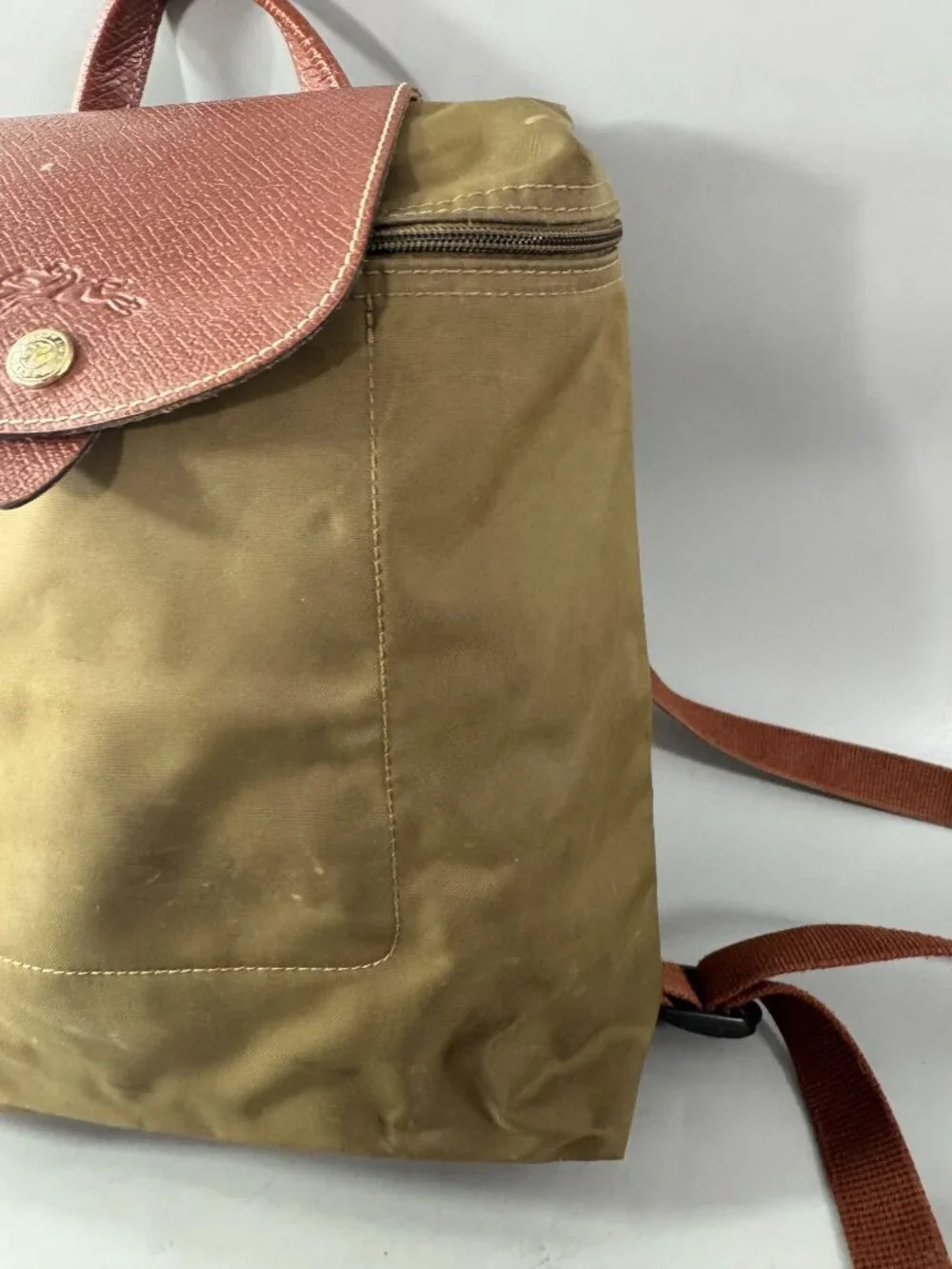 Longchamp Le Pliage Medium Backpack in Green